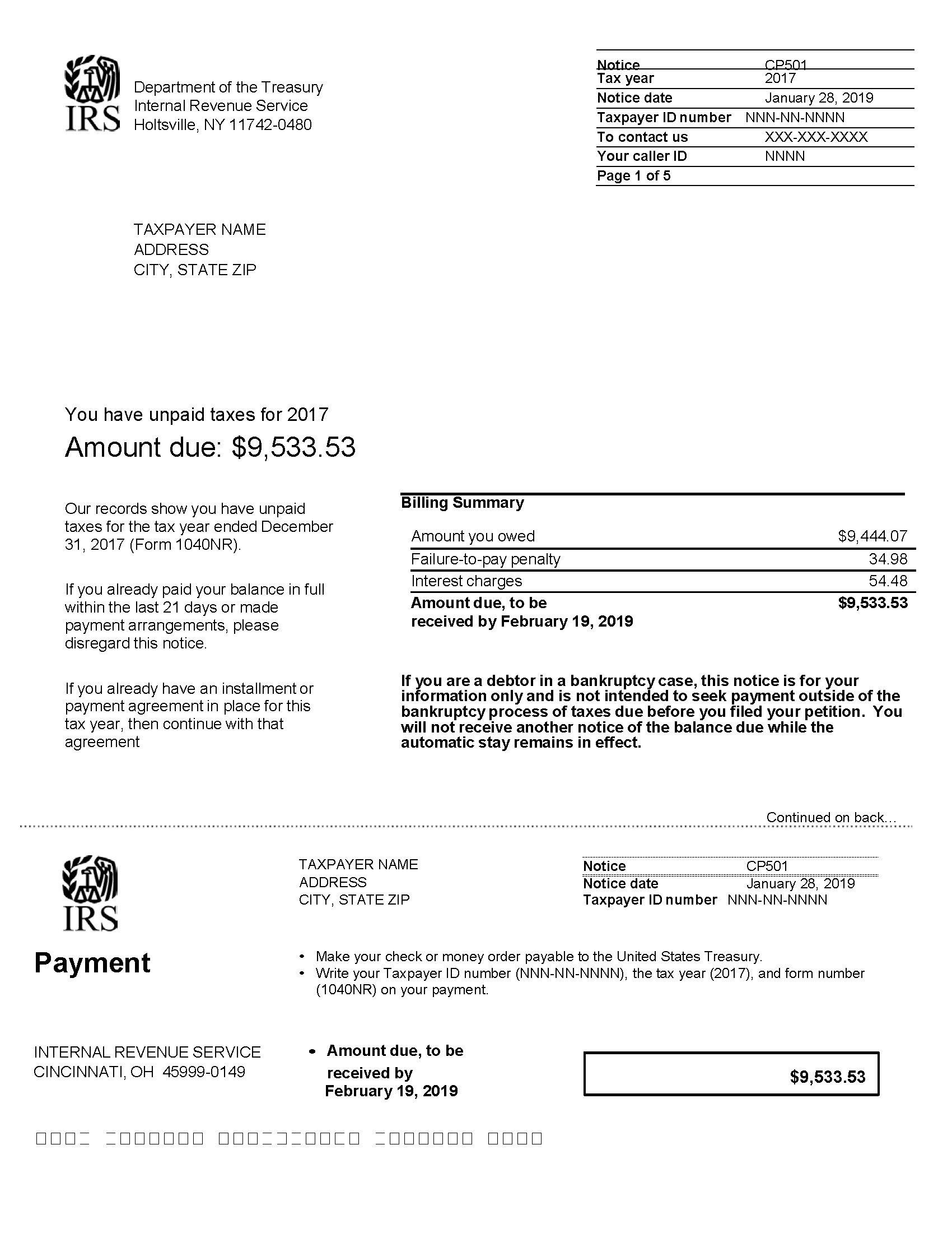 IRS CP501 example