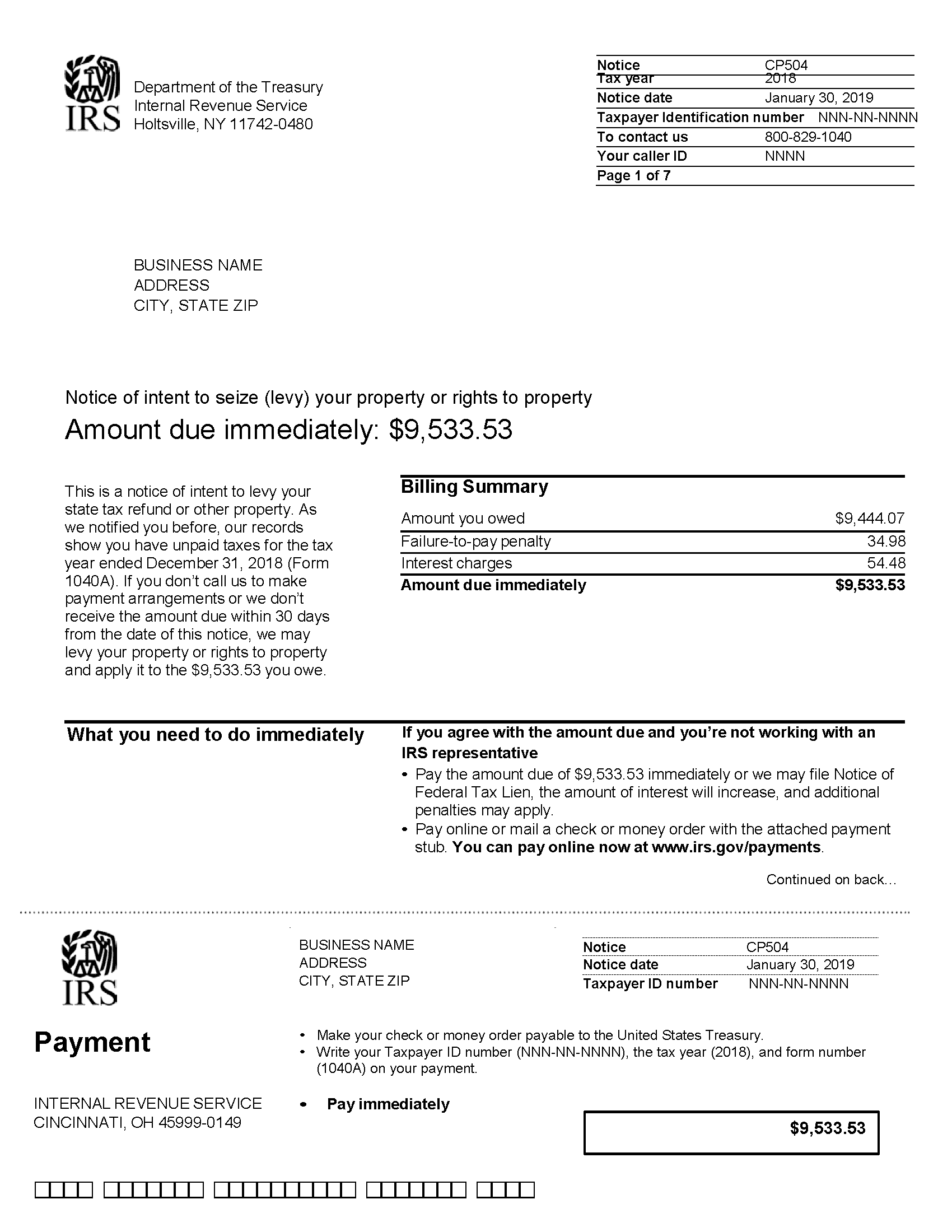 IRS CP504 example
