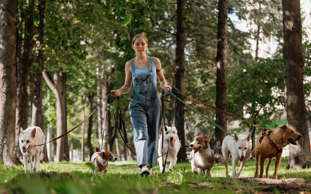 Dog Walker Pays Only 4% of Tax Debt With Relief Program
